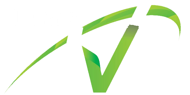 Digital Hive